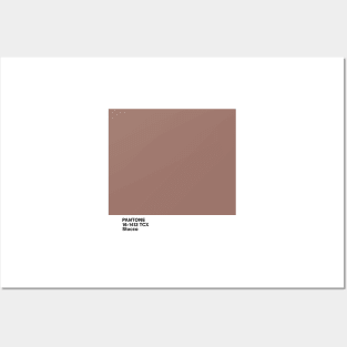 PANTONE 16-1412 TCX Stucco Posters and Art